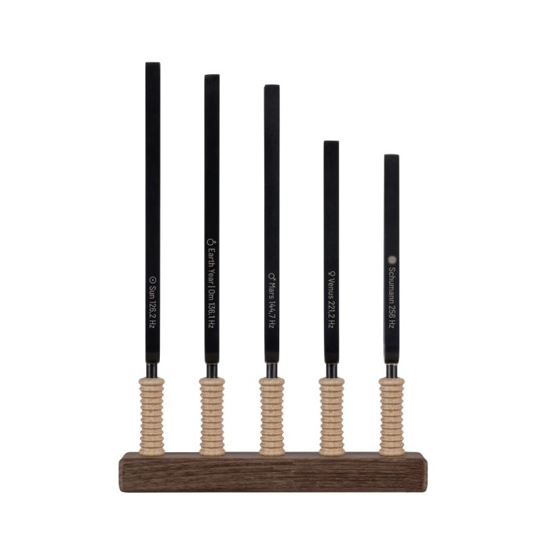 Schlagwerk STF-PL5 Tuning Fork Planetary Set 5