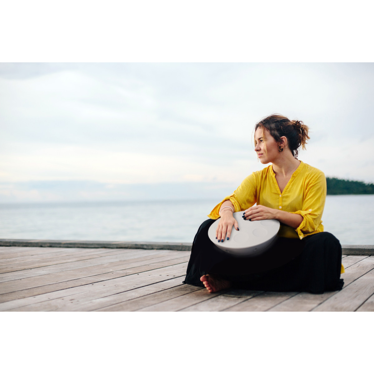 Roland MN-10 Mood Pan Handpan Electrónico, comprar online