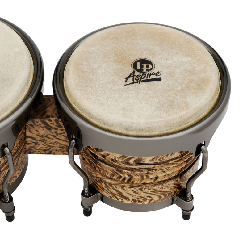 LP Bongo Aspire Accent Havana Café LPA601-HC